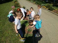 IMG-2b8383f4704bd94cb285d6b6814e485a-V